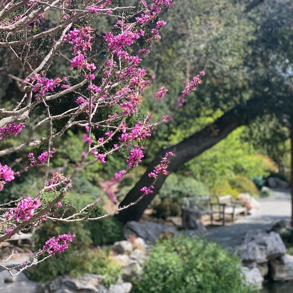 Meet Your Posher CP - Picture 4 of 16